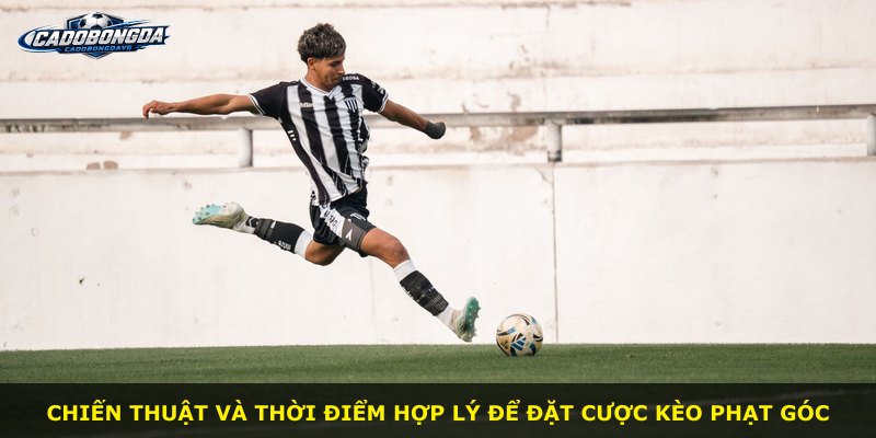 Chiến thuật và thời điểm hợp lý để đặt cược kèo phạt góc