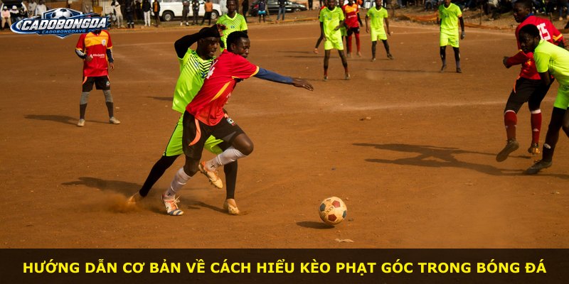 Hướng dẫn cơ bản về cách hiểu kèo phạt góc trong bóng đá