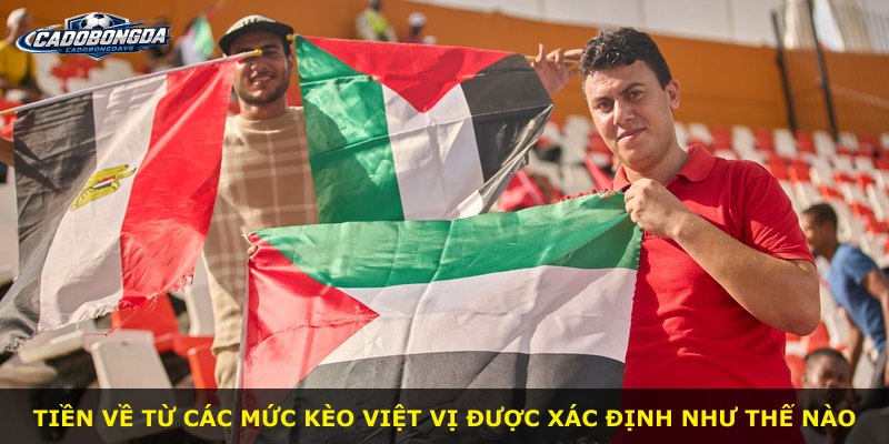Tiền về từ các mức kèo Việt Vị được xác định như thế nào