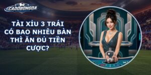 Tài Xỉu 3 Trái