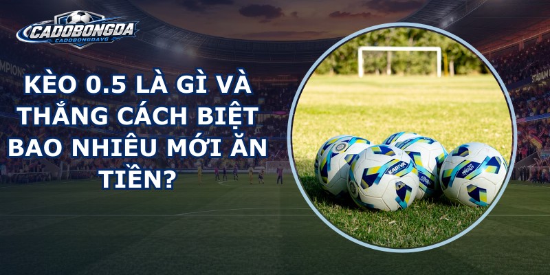 Kèo 0.5 Là Gì